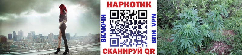 Где купить наркотики Георгиевск ЭКСТАЗИ  ГАШИШ  COCAIN  АМФЕТАМИН  Героин 