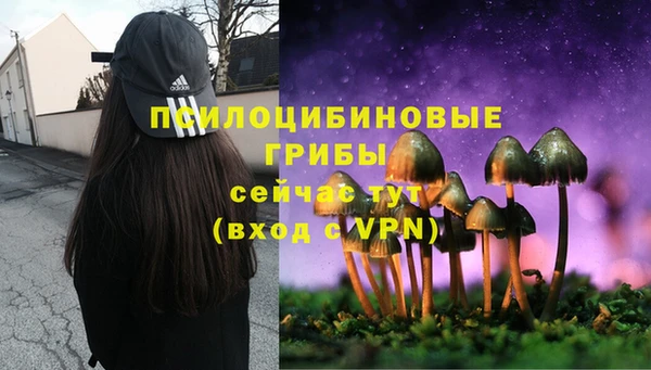 ПСИЛОЦИБИНОВЫЕ ГРИБЫ Армянск