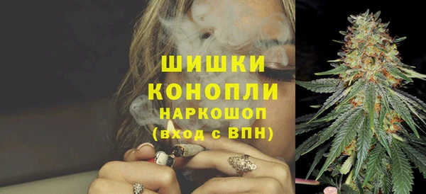 ешки Арсеньев