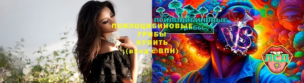 прущая мука Аркадак