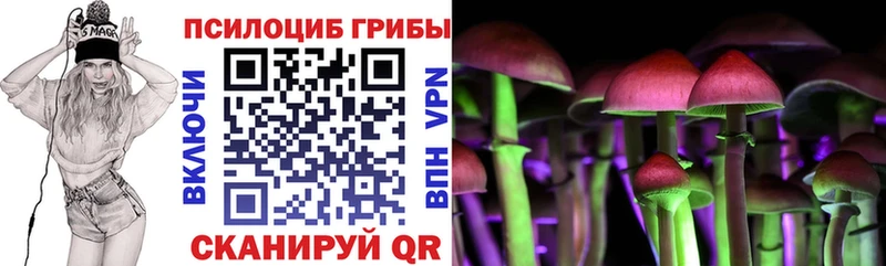 OMG онион  Георгиевск  Псилоцибиновые грибы Psilocybine cubensis 